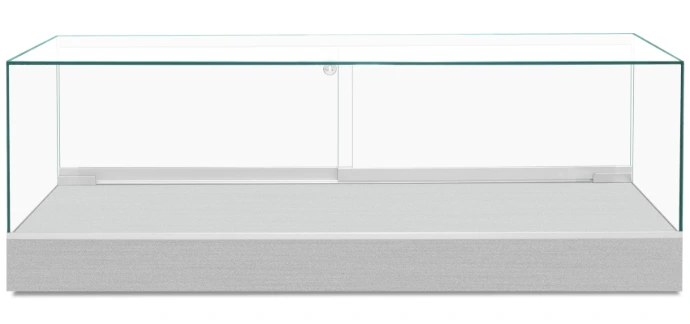CT660 60 Brushed Metal Frameless Countertop Display Case – Front View