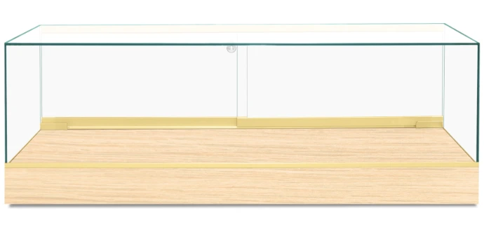 CT660 60 Oak Frameless Countertop Display Case – Front View